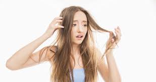 Hair Intense – růst vlasů - výrobce – účinky – složení