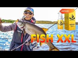 Fish XXL – akční – výrobce – účinky