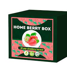 Home Berry Box   - cena - objednat - hodnocení - prodej